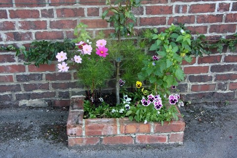 Espaliered pear tree
